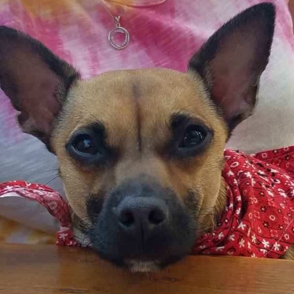 Meet your Posher, D - Picture 5 of 5